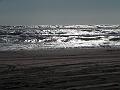 2004-08 Céline Camargue 004